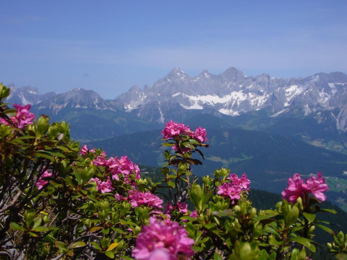 Appartements Wiesbach Ramsau am Dachstein Dış mekan fotoğraf