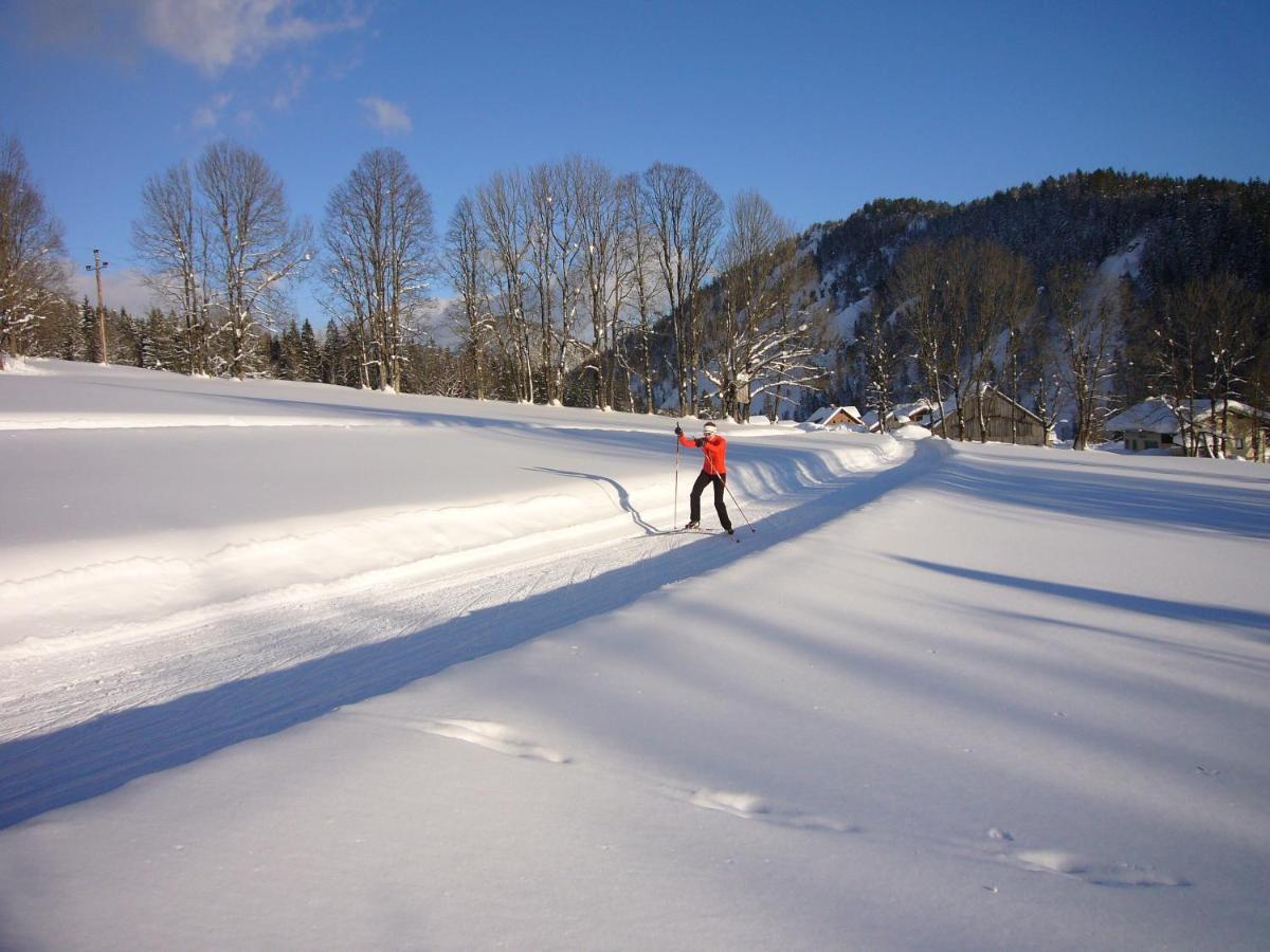 Appartements Wiesbach Ramsau am Dachstein Dış mekan fotoğraf