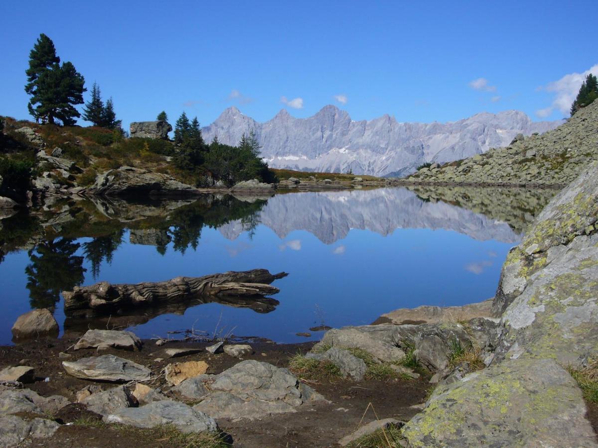 Appartements Wiesbach Ramsau am Dachstein Dış mekan fotoğraf