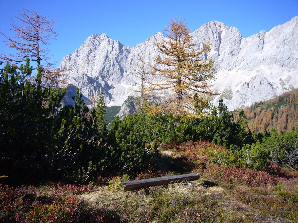 Appartements Wiesbach Ramsau am Dachstein Dış mekan fotoğraf